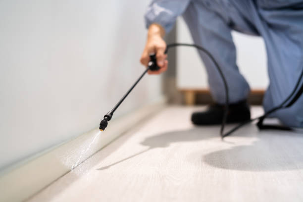 Rodent Entry Point Assessment in New Sarpy