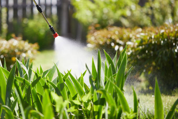 Tamper-Resistant Bait Stations for Rodents in New Sarpy