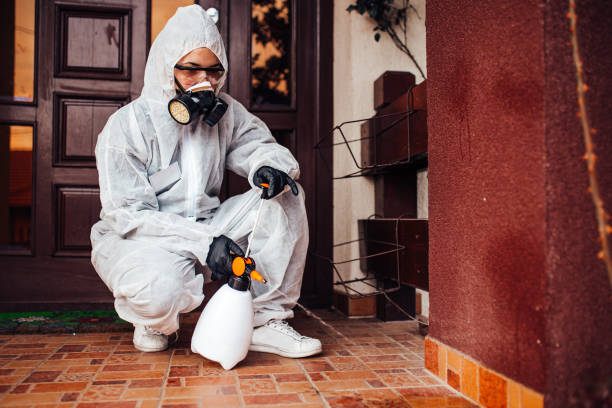 Attic and Crawl Space Rodent Treatment in New Sarpy