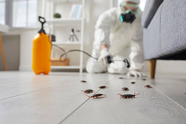 Commercial Rodent Management in New Sarpy